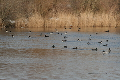 Killikus&reg; Fotographie